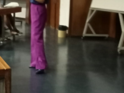 E. Pujolras- docencia_Pretoria