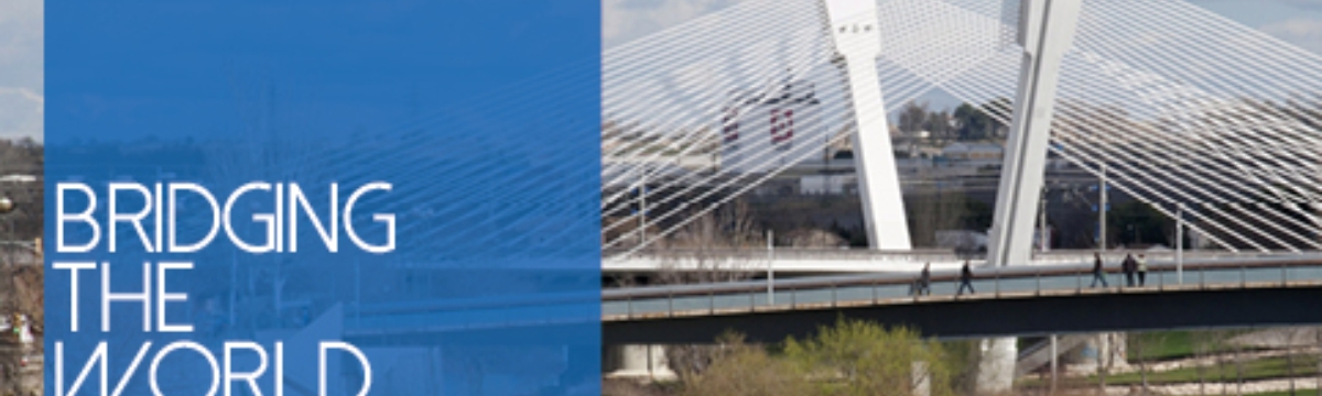 Degree in English Studies Degree in English Studies