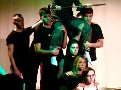 Passi als instituts_1